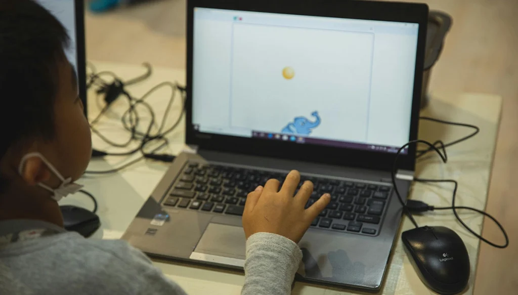 Young Boy on a Laptop