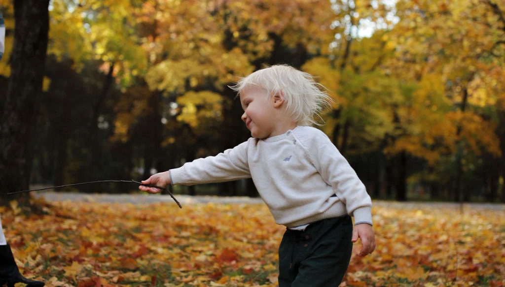 Young boy playing with a stick in a fall park
